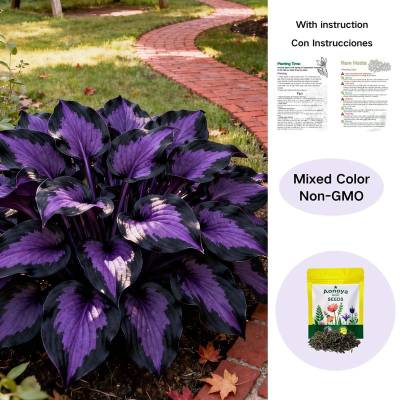 💥2025 Hot Sale ❤️Red Heart Hosta Seeds Perennial Shade Plant for Garden