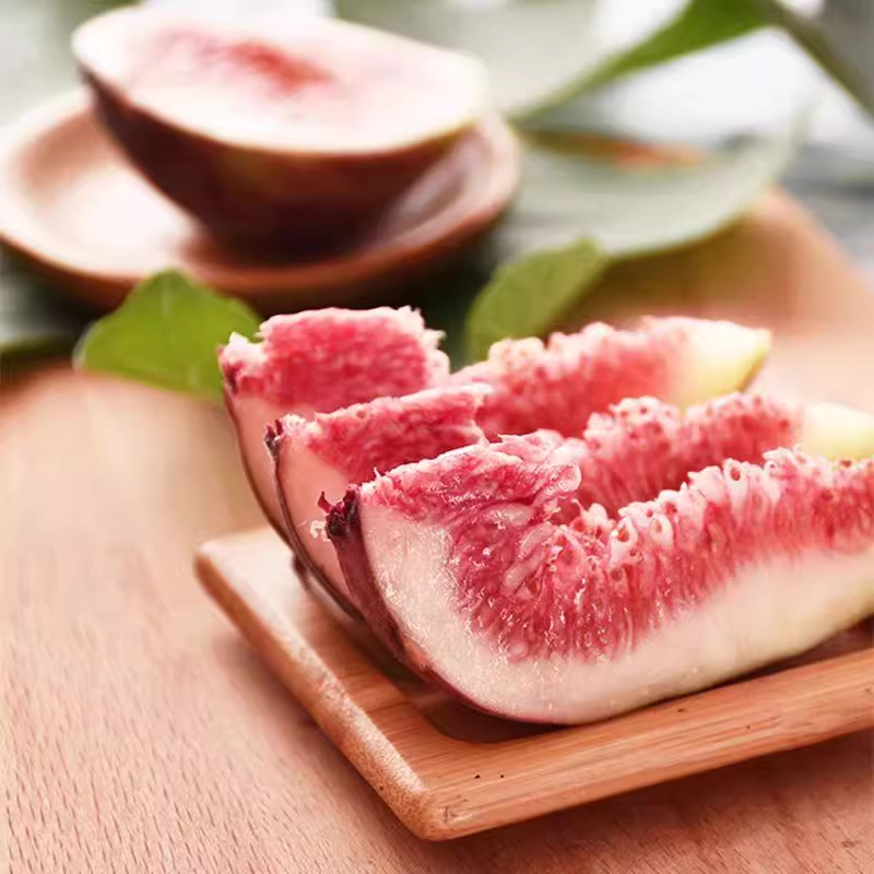 Fig Tree Seeds (Ficus carica), Sweet Fruit Shrub