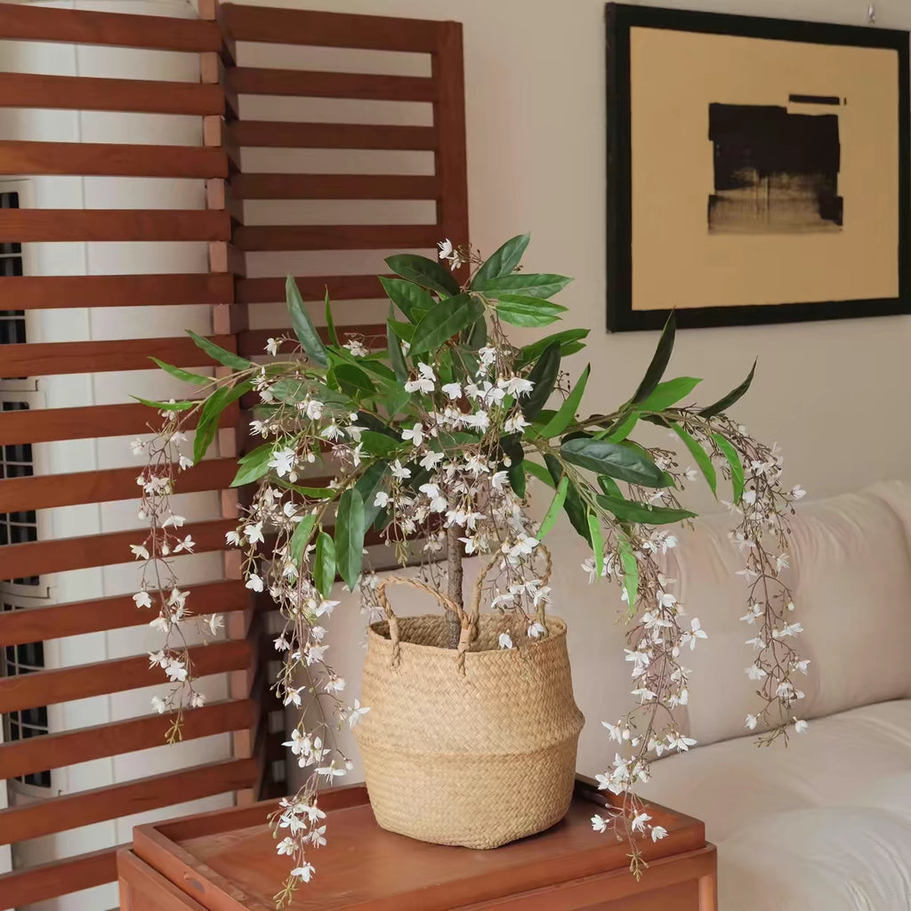 🌸 Last Day 60% OFF – Winter Friendly Hanging Jasmine
