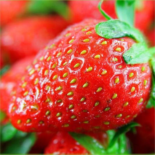 🍓White Milk Strawberry Seeds(🪴Buy 3 Get 1 Free)