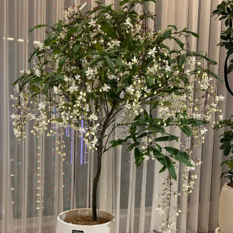 🌸 Last Day 60% OFF – Winter Friendly Hanging Jasmine