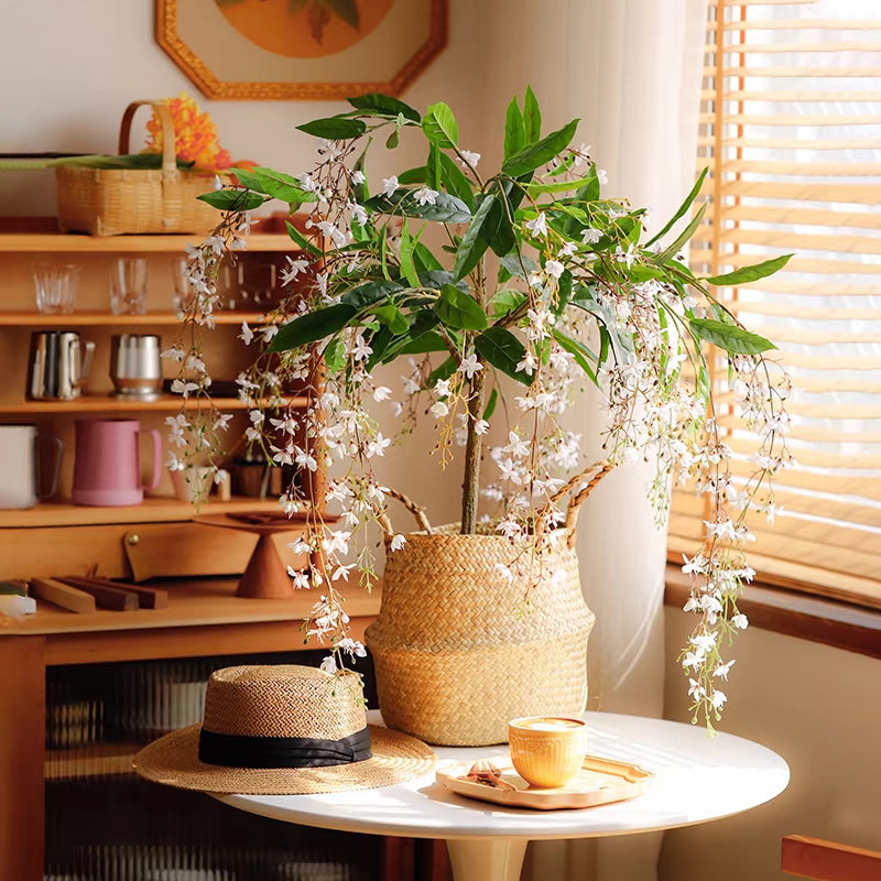 🌸 Last Day 60% OFF – Winter Friendly Hanging Jasmine