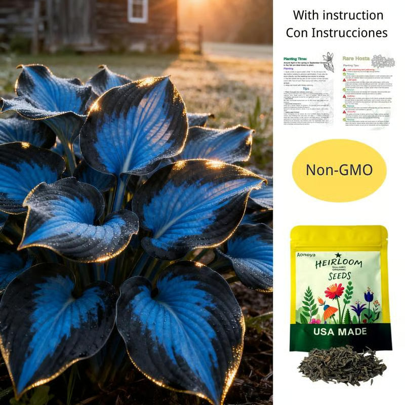 💥2025 Hot Sale ❤️Red Heart Hosta Seeds Perennial Shade Plant for Garden