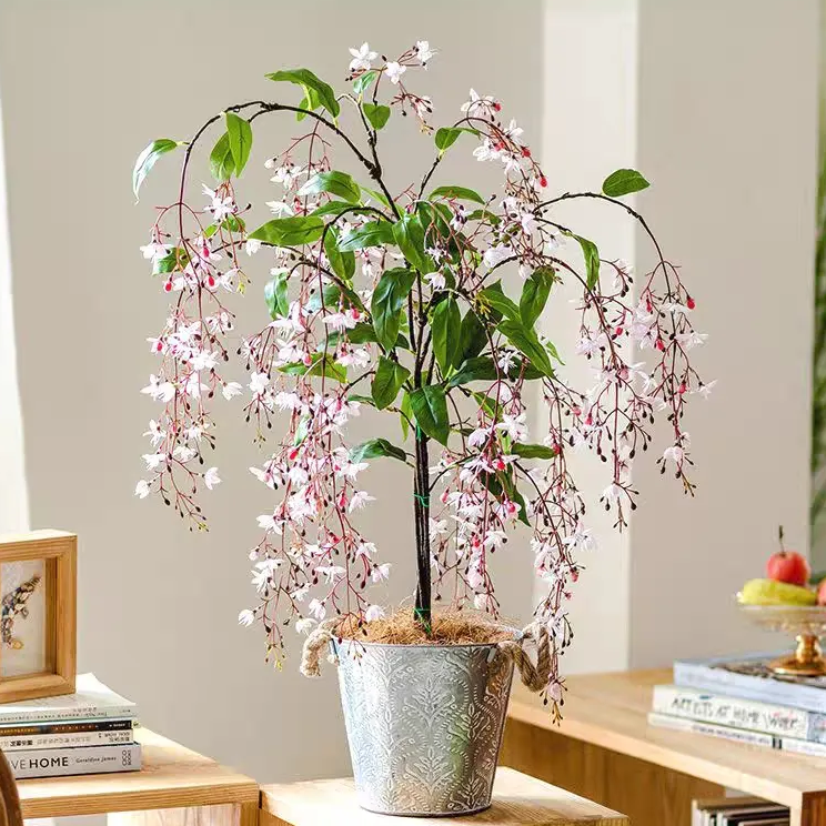 🌼Weeping Jasmine Seeds - White Jade Butterfly