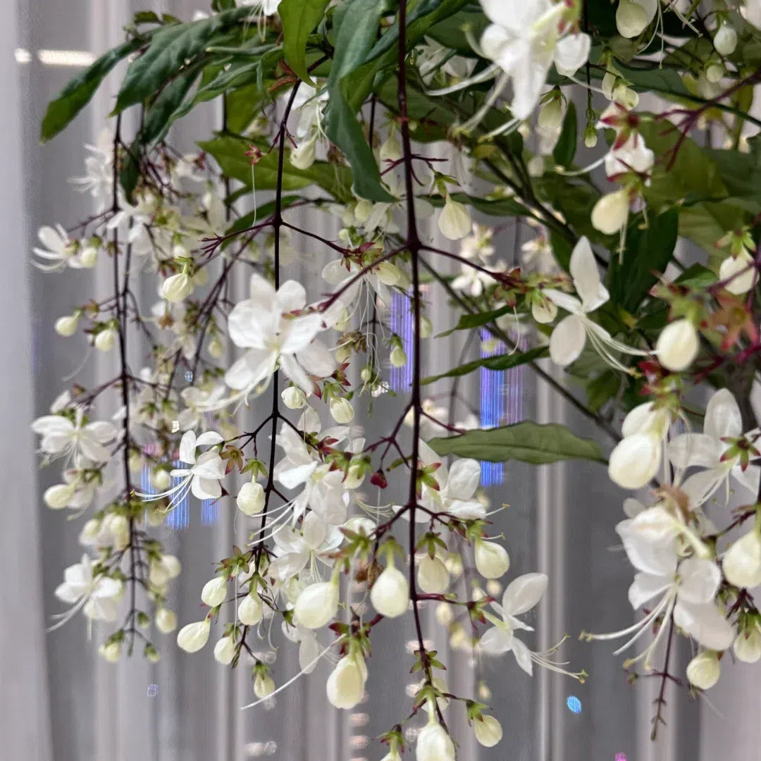🌸 Last Day 60% OFF – Winter Friendly Hanging Jasmine
