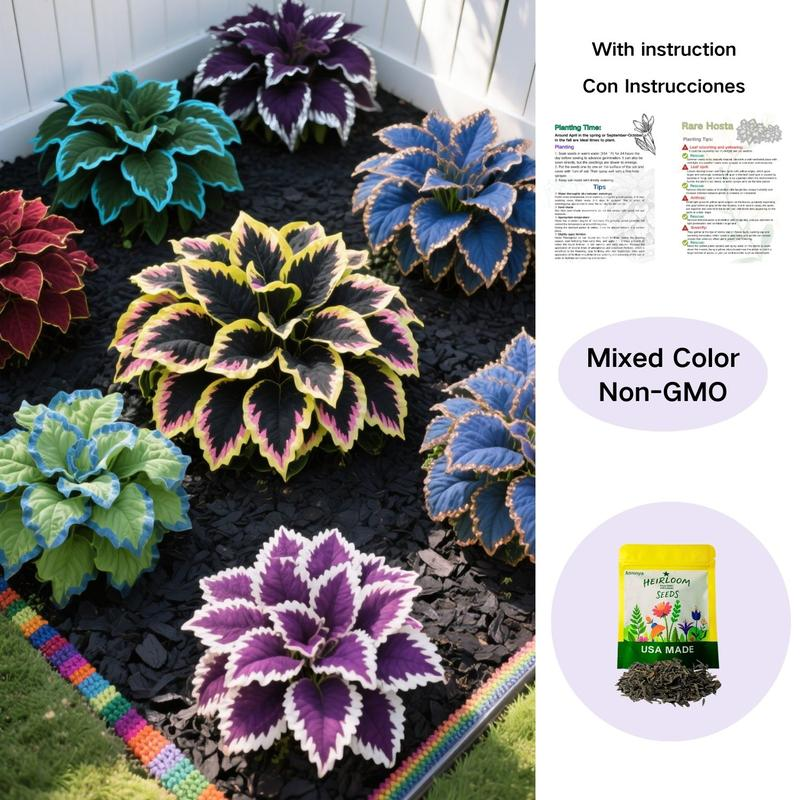 Muticolor Hosta Seeds-Perennial Shade Plant for Garden and Yard Plant🌈God’s Artistic Canvas